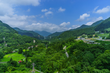 夏のヤンバダム予定地の風景