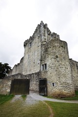 Fototapeta na wymiar Ross Castle in Ireland