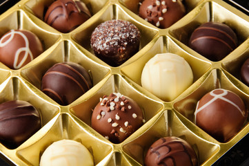 Chocolate Gathering