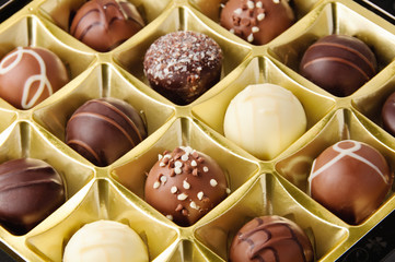 Chocolate Gathering