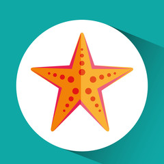 sea animal flat icon design 