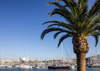 Barcelona, Spain, Yacht marina, Port Vell, Catalonia