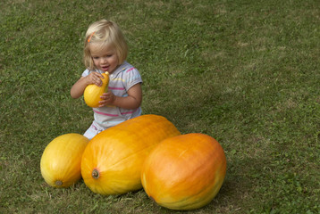 Fototapeta premium Beautiful little kid girl having fun with farming on organic pumpkin patch