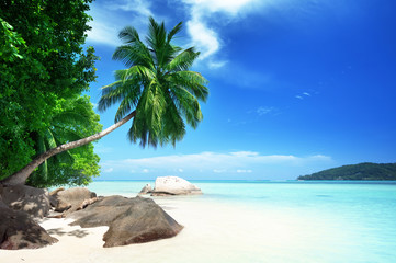 Fototapeta na wymiar beach on Mahe island in Seychelles