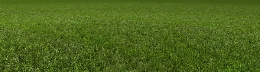 Deurstickers Groen gras 3D-rendering