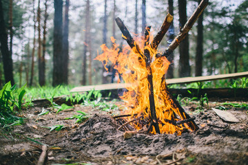 Close Up of blazing campfire coals in the in a forest glade