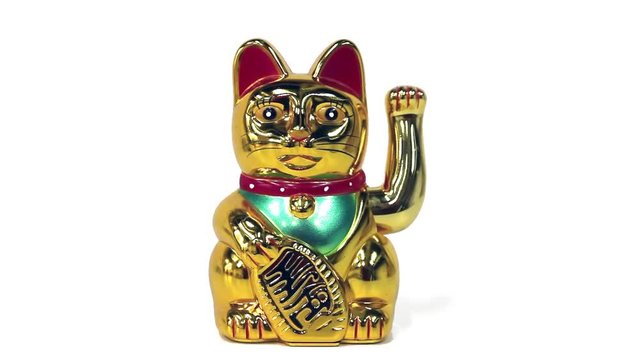 chat chinois