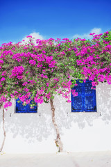 Traditional greek house with flowers in Paros island, Greece