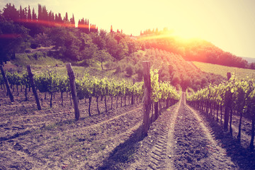 rural landscape and sunset 