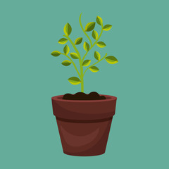 plant pot design 