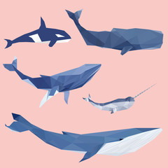 Naklejka premium Geometric colored whale set