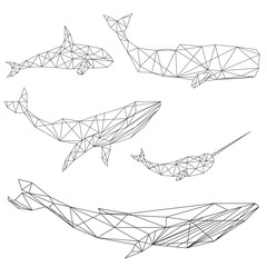 Fototapeta premium Zestaw geometryczny wieloryb