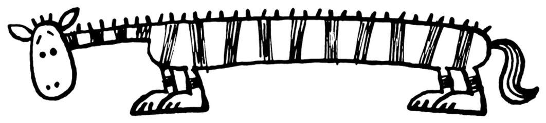 zebra hand-dawn doodle