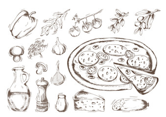 Pizza, vector illustration