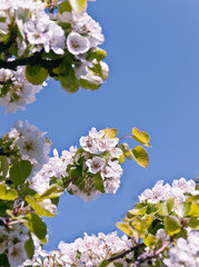 As far as it will go