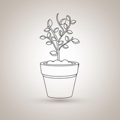 plant pot design 