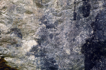 Moss and rock texture