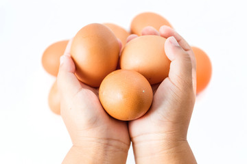 Hands holding brown eggs. Isolated on a white background