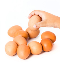 Hands holding brown eggs. Isolated on a white background