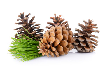 Fototapeta premium Pine cones isolated on white background