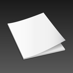 magazine mockup vector3