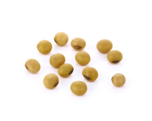 Fototapeta na wymiar soybean isolated on white background
