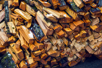 bunch of wet firewood 