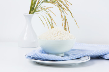 Ceramic bowl containing rice,shallow Depth of Field,Focus on rice. 