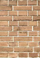 brick wall background (306)