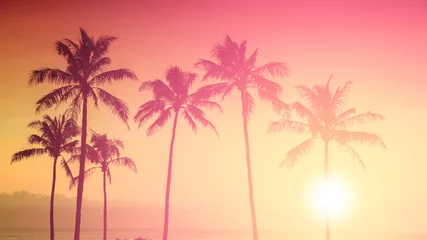 Foto op Plexiglas Tropisch eiland zonsondergang met silhouet van palmbomen, warme zomerdag vakantie achtergrond, gouden lucht met ondergaande zon boven horizon © Mariusz Blach