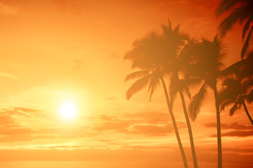 Obraz na płótnie Canvas Tropical island sunset with silhouette of palm trees, hot summer day vacation background, golden sky with sun setting over horizon