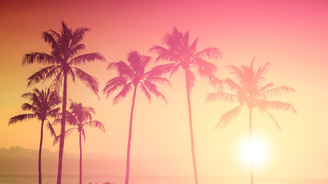 Fototapeta Tropikalnej wyspy złoty zmierzch nad drzewkami palmowymi