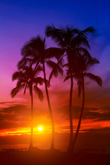 Coucher de soleil sur l& 39 île tropicale avec silhouette de palmiers, fond de vacances chaudes d& 39 une journée d& 39 été, ciel doré avec coucher de soleil sur l& 39 horizon