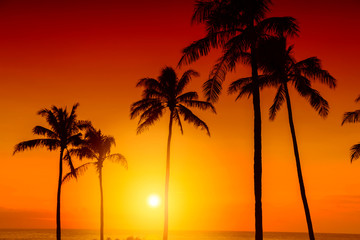 Naklejka na ściany i meble Tropical island sunset with silhouette of palm trees, hot summer day vacation background, golden sky with sun setting over horizon