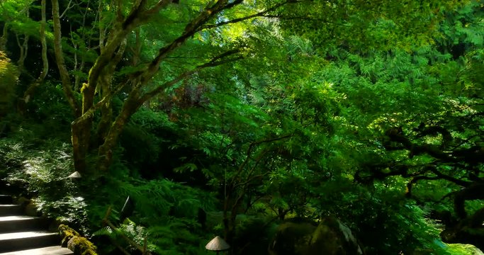 4K Green Japanese Gardens and Stream