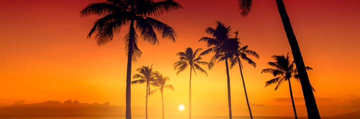 Tropical island sunset with silhouette of palm trees, hot summer day vacation background