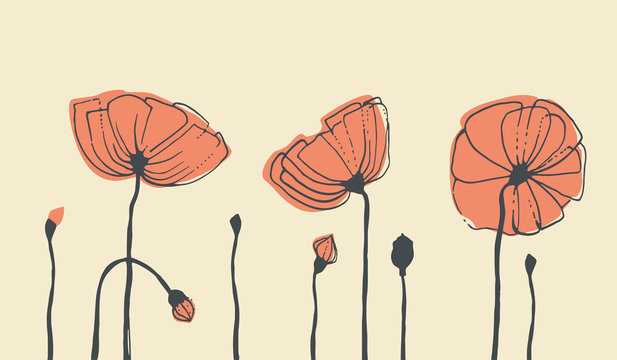 Hand-drawn poppies. Vector illustration