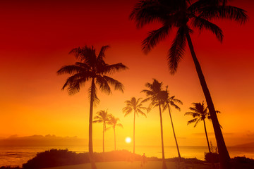 Coucher de soleil sur une île tropicale avec silhouette de palmiers, fond de vacances chaudes d& 39 une journée d& 39 été, ciel doré avec coucher de soleil sur l& 39 horizon