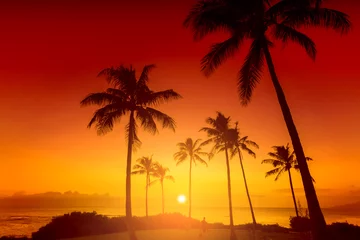 Papier Peint photo Mer / coucher de soleil Coucher de soleil sur une île tropicale avec silhouette de palmiers, fond de vacances chaudes d& 39 une journée d& 39 été, ciel doré avec coucher de soleil sur l& 39 horizon