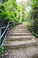 Fototapeta premium stairs leading up in forest