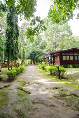 Old wooden house in the forest