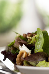 fresh salad