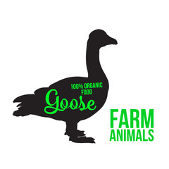 Black goose with lettering, poultry, vector illustration sketch, farm feathered animal, one color and the beautiful goose on a white background,