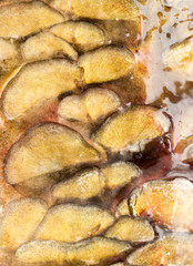 scales of a carp as a background. macro