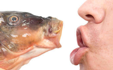 kiss a fish on a white background
