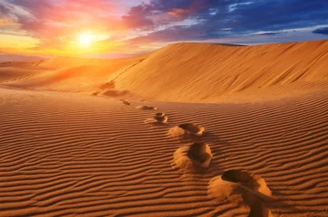 Fototapete Dürre Wüste