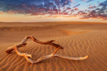 Vlies Fototapete Dürre Wüste