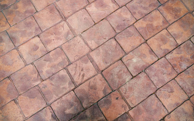 Brick block / View of brick paving on garden path.