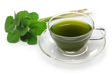 gotu kola, asiatic pennywort, centella asiatica, ayurveda herbal drink