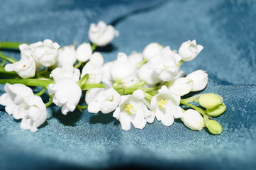 Lily-of-the-valley and turquoise silk